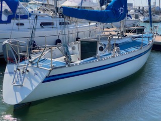 Sortie en mer à Dunkerque : une initiation douce et locale à bord de BARBIDUL